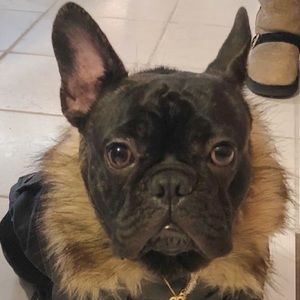 Meet your Posher, Mika